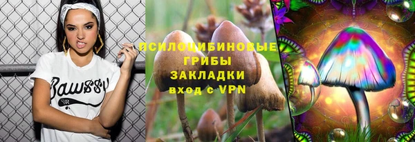 дживик Абаза