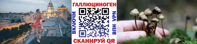 Галлюциногенные грибы Psilocybine cubensis  Поворино 